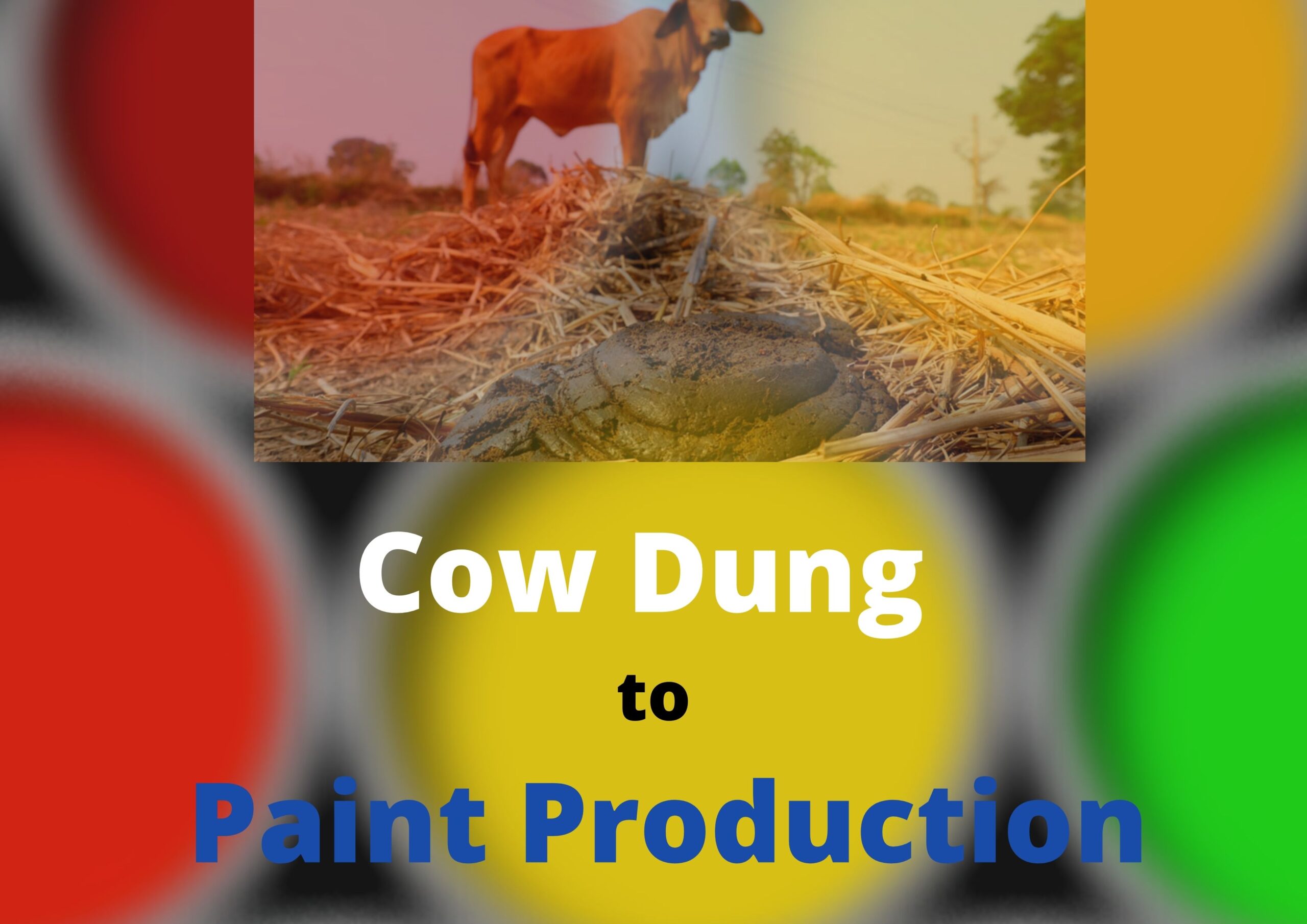 गोधनातून क्रांती: शेणापासून पर्यावरणपूरक पेंटची निर्मिती