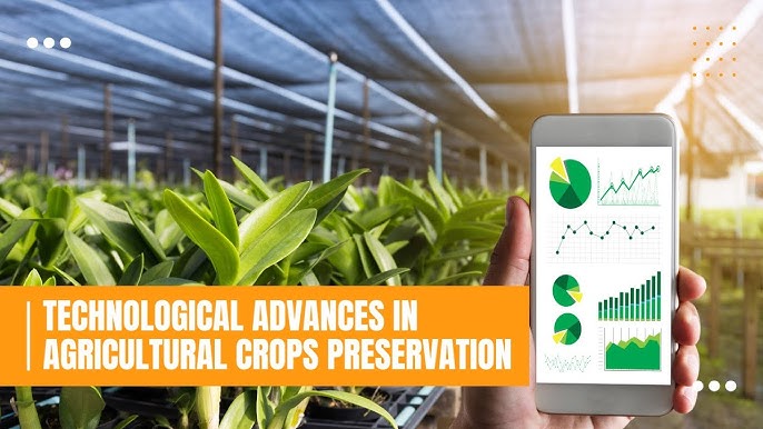 “शेतकऱ्यांना डिजिटल क्रॉप सर्वे ॲपद्वारे 15 जानेवारीपर्यंत पीक पाहणी पूर्ण करण्याचे आवाहन – तहसीलदार अभिजीत बारावकर”