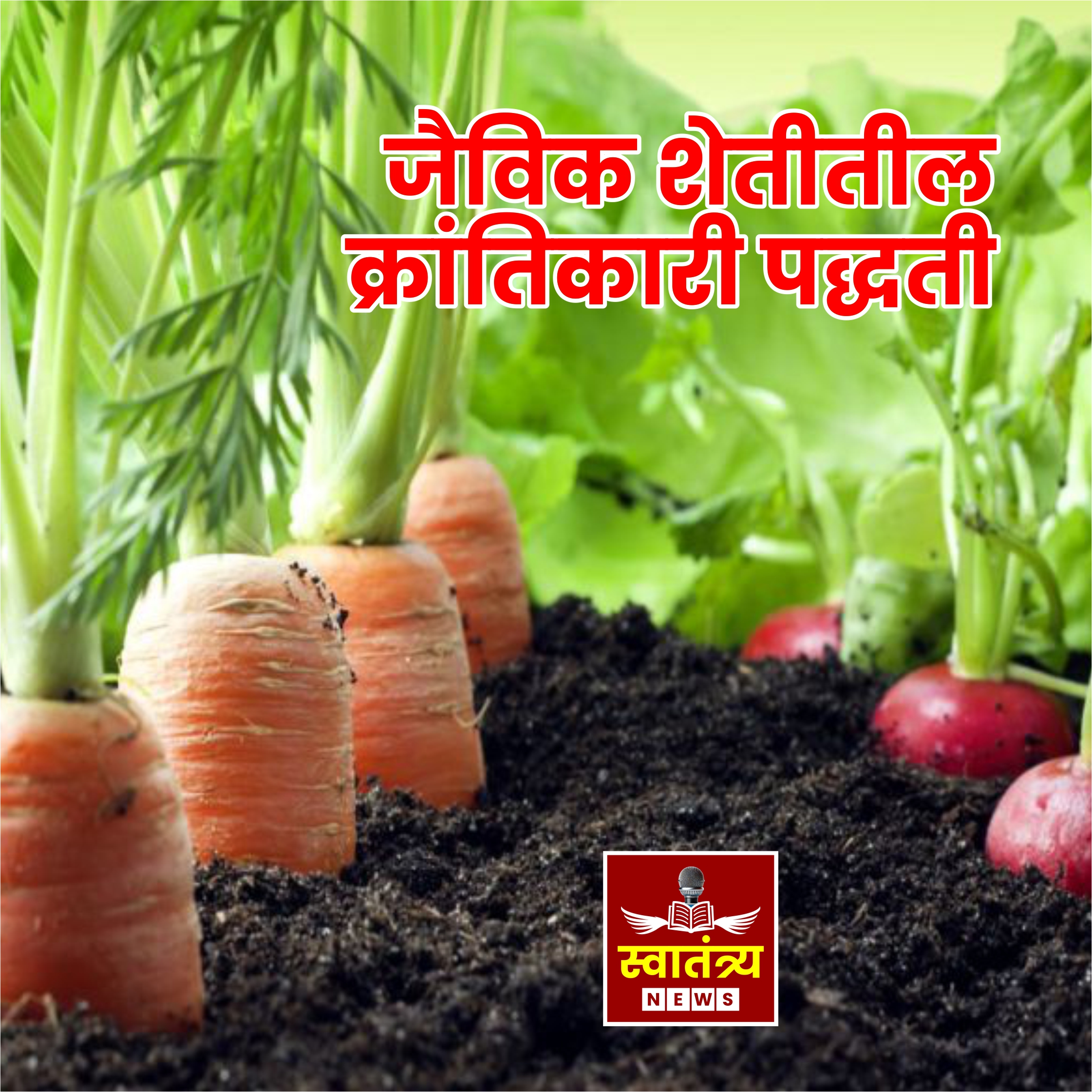 जी. आर. सक्तिवेल यांच्या जैविक शेतीतील क्रांतिकारी पद्धतीकमी खर्चात अधिक उत्पादनाचा सुगम मार्ग