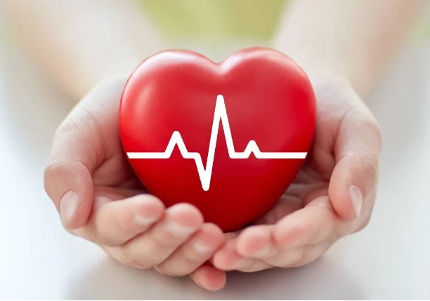 हृदयाच्या स्नायूंमध्येही ‘गोड चव’ ग्रहण करणारे रिसेप्टर्स आढळले: अध्ययन|